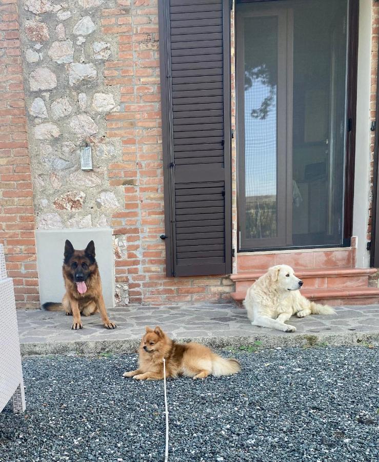 Casa Vacanze Arcobaleno Grosseto Kültér fotó